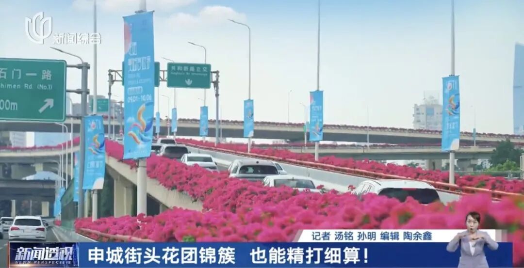 上海人快抬头！高架上这幕被刷爆！有人吐槽太浪费？这笔开销算明白了