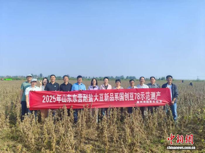 山东黄河入海口耐盐碱大豆新品亩产超过369公斤