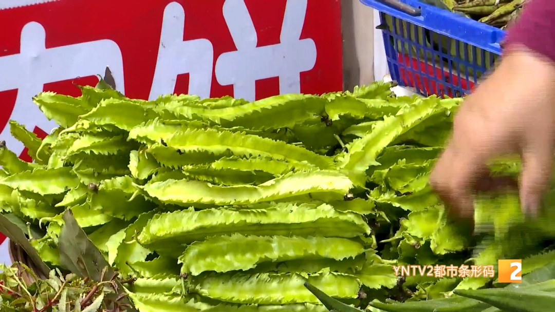 吃花！吃叶！吃草！云南人的餐桌香了香……游客：这儿的蔬菜比表情包还鲜亮……