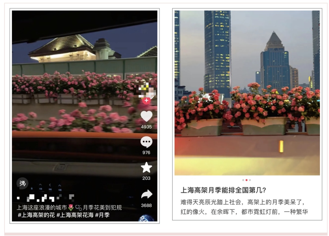 上海人快抬头！高架上这幕被刷爆！有人吐槽太浪费？这笔开销算明白了