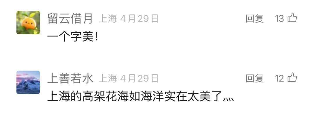 上海人快抬头！高架上这幕被刷爆！有人吐槽太浪费？这笔开销算明白了