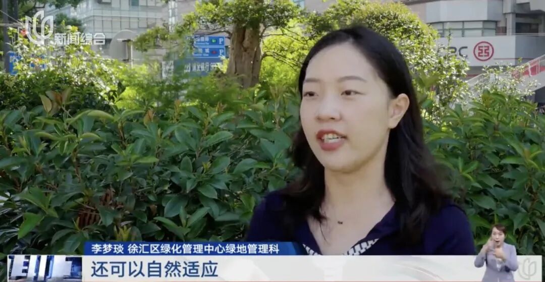 上海人快抬头！高架上这幕被刷爆！有人吐槽太浪费？这笔开销算明白了