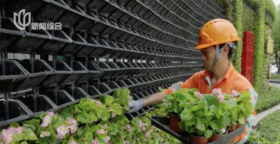 上海人快抬头！高架上这幕被刷爆！有人吐槽太浪费？这笔开销算明白了