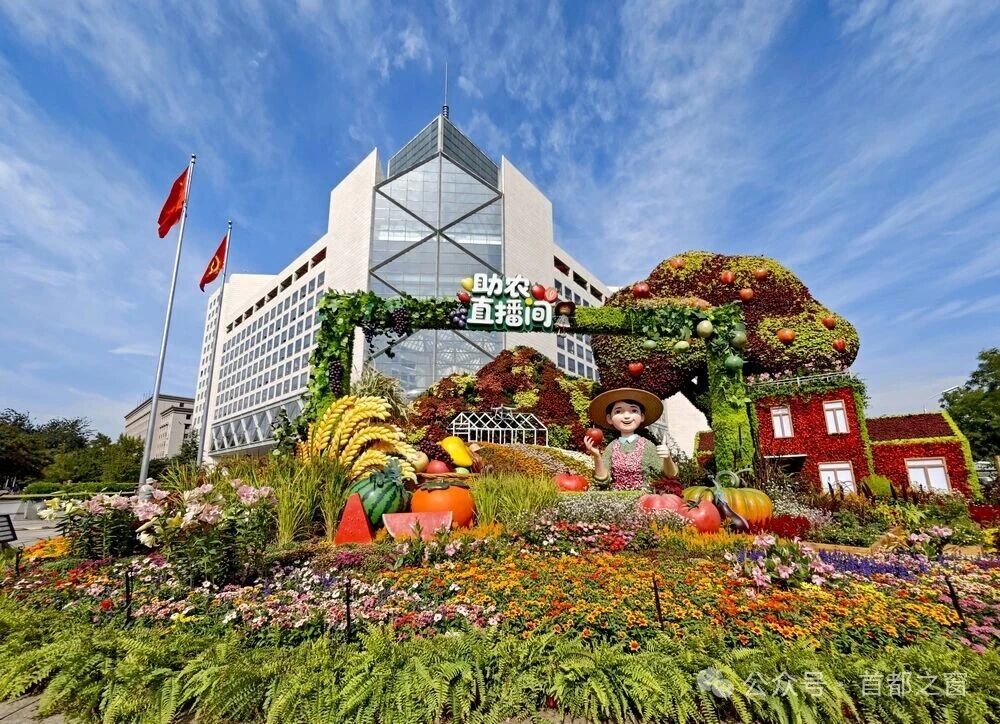 天安门广场国庆大花篮+长安街沿线花坛实拍图→(附打卡指南) 天安门广场国庆大花篮+长安街沿线花坛实拍图→(附打卡指南)