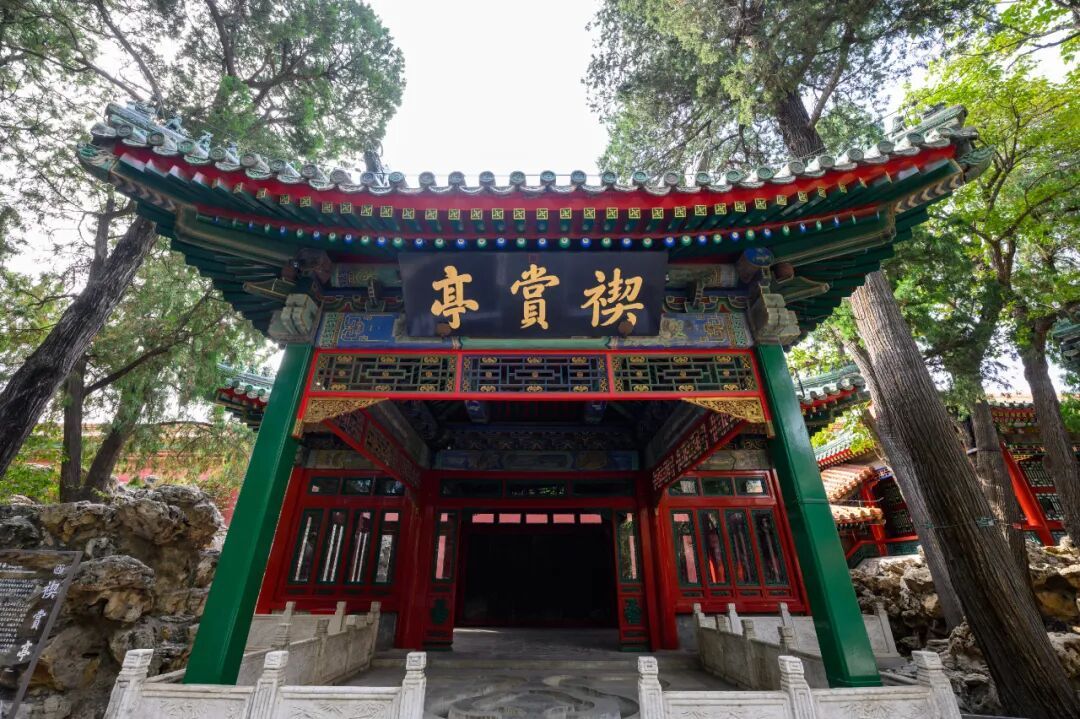 故宫“乾隆花园”，开放！