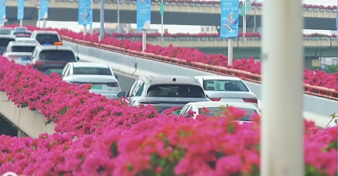 上海人快抬头！高架上这幕被刷爆！有人吐槽太浪费？这笔开销算明白了