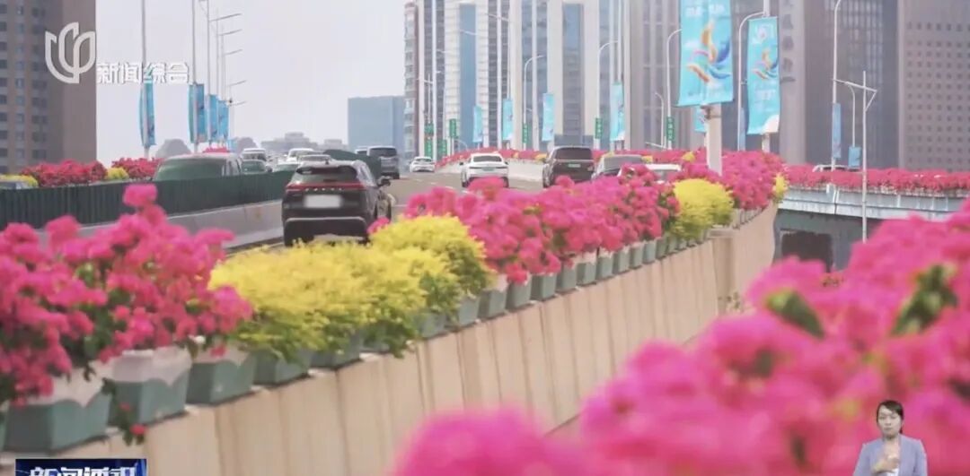 上海人快抬头！高架上这幕被刷爆！有人吐槽太浪费？这笔开销算明白了