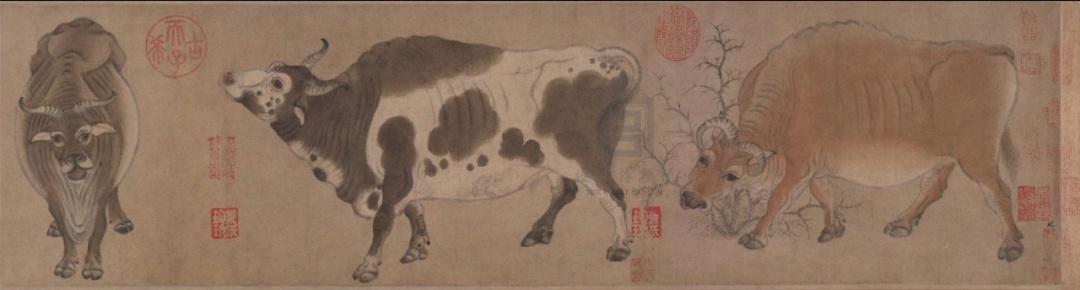 故宫里的“神秘花园”开放！