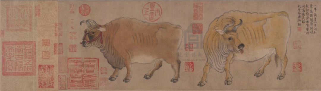 故宫里的“神秘花园”开放！