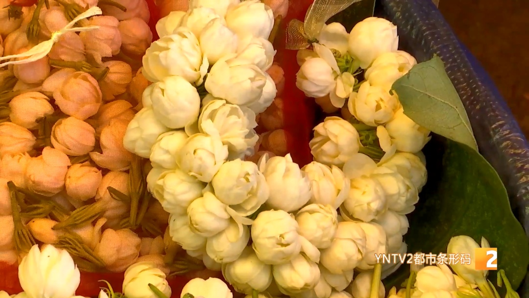 吃花！吃叶！吃草！云南人的餐桌香了香……游客：这儿的蔬菜比表情包还鲜亮……