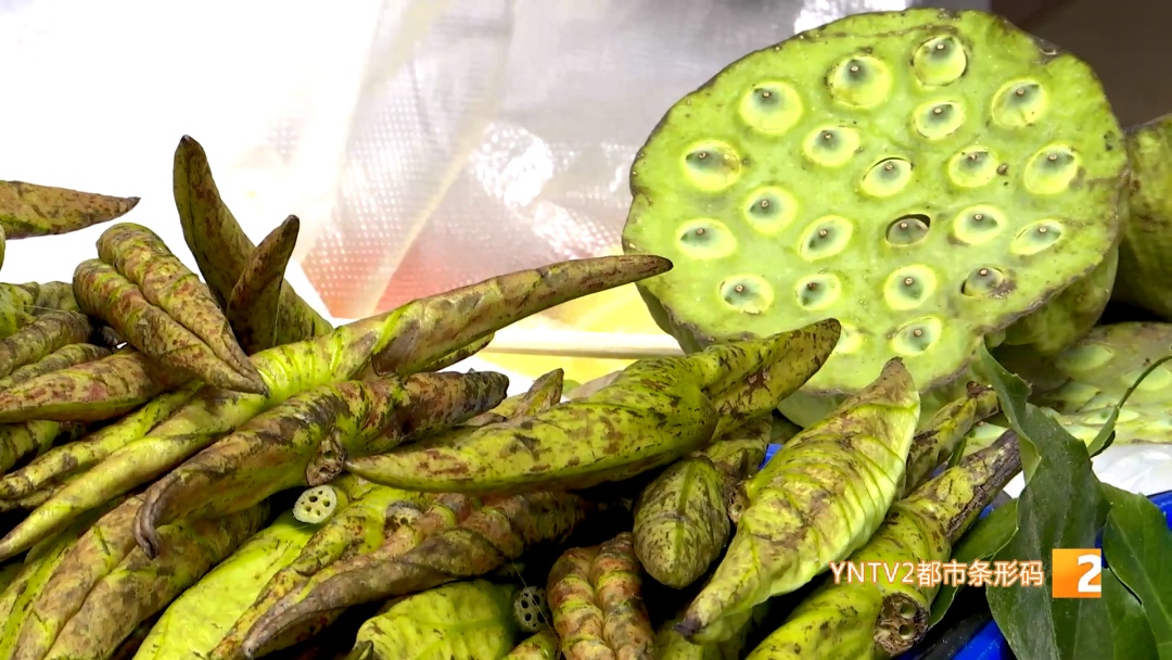 吃花！吃叶！吃草！云南人的餐桌香了香……游客：这儿的蔬菜比表情包还鲜亮……