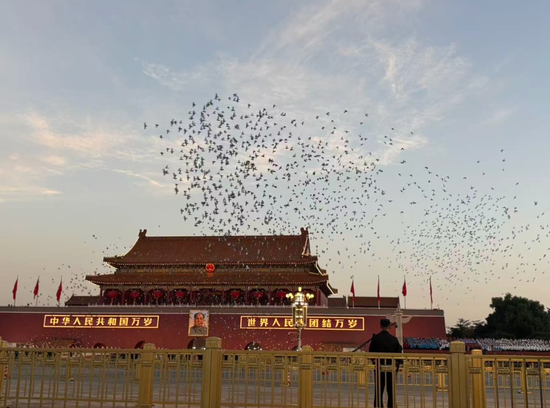 今天，向你告白！我爱你，中国！
