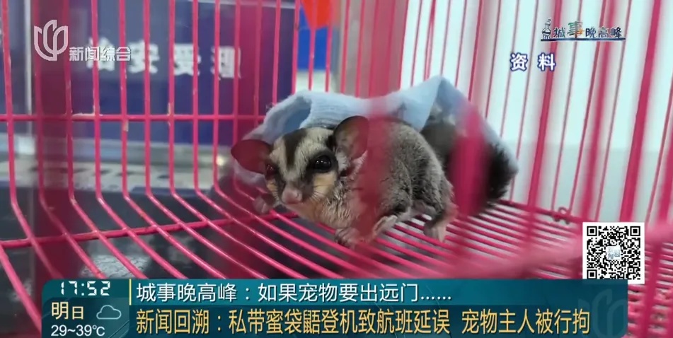上海地铁这一幕惊呆！十几条黄鳝在车厢游窜！乘客尖叫...重要提醒