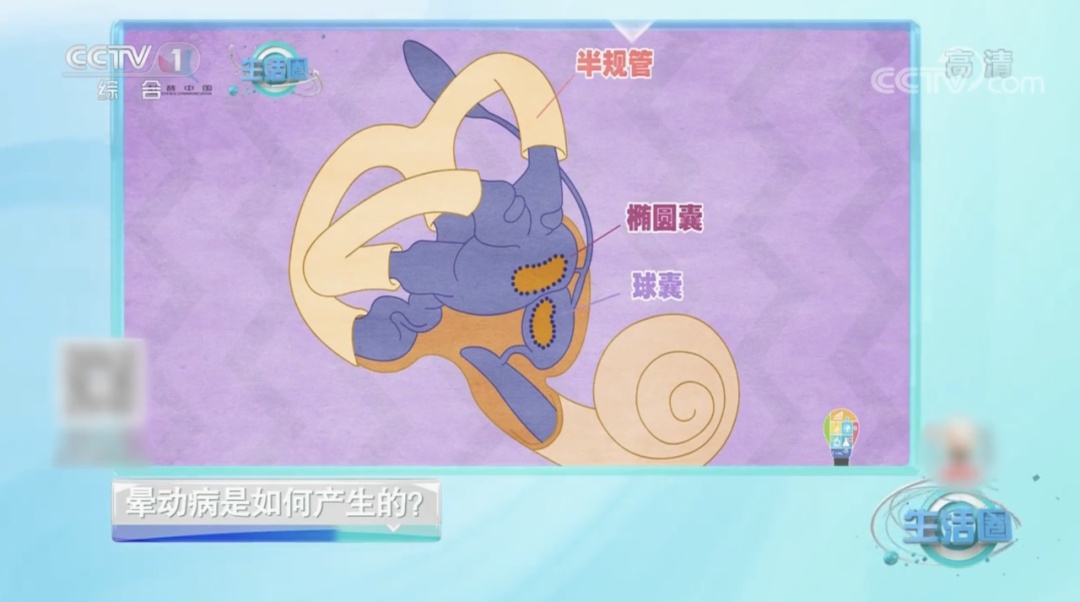 一坐车就头晕,咋回事?试试这些方法→ 一坐车就头晕,咋回事?试试这些方法→