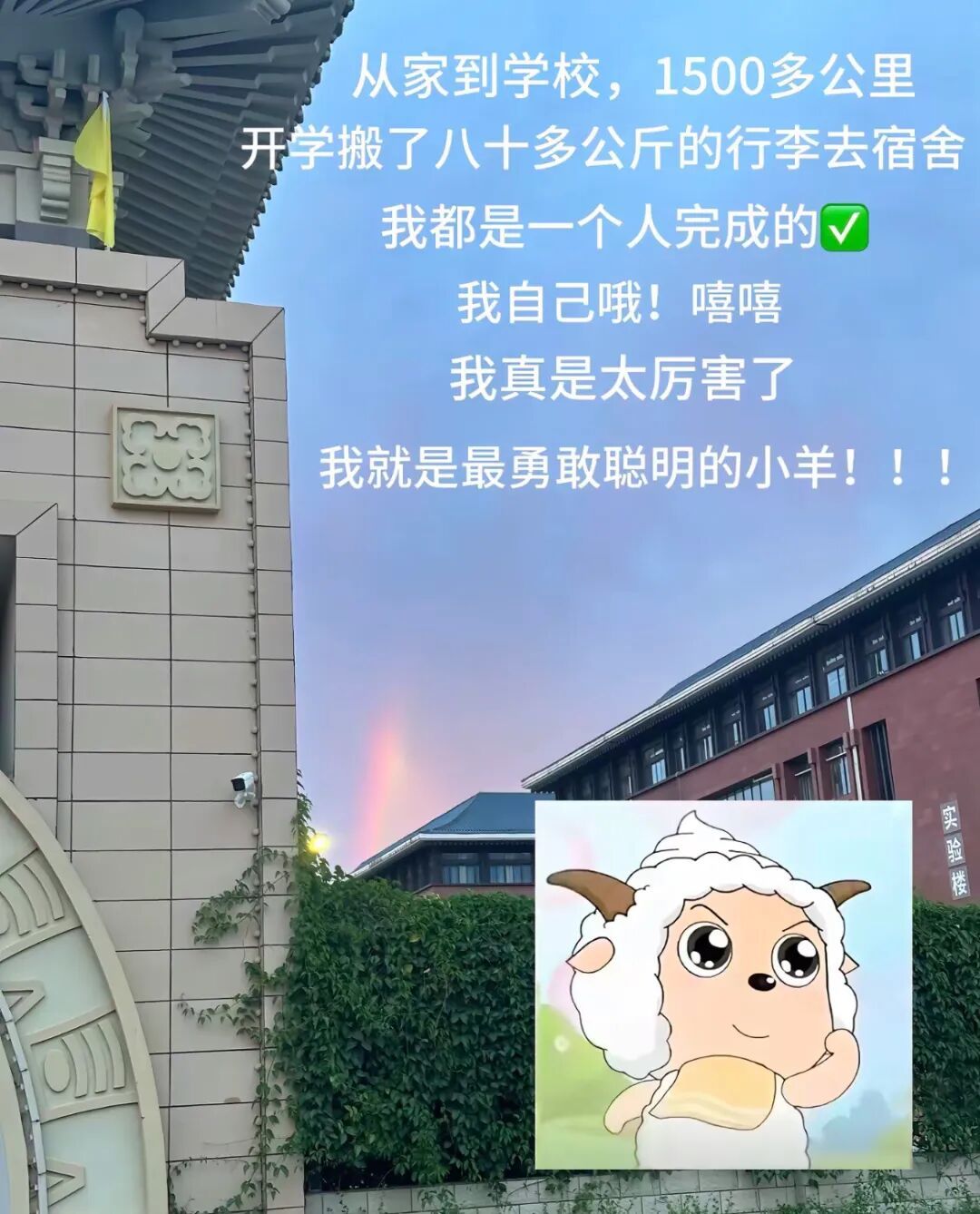为什么最近网上这么多“勇敢的小羊”？这是什么梗？