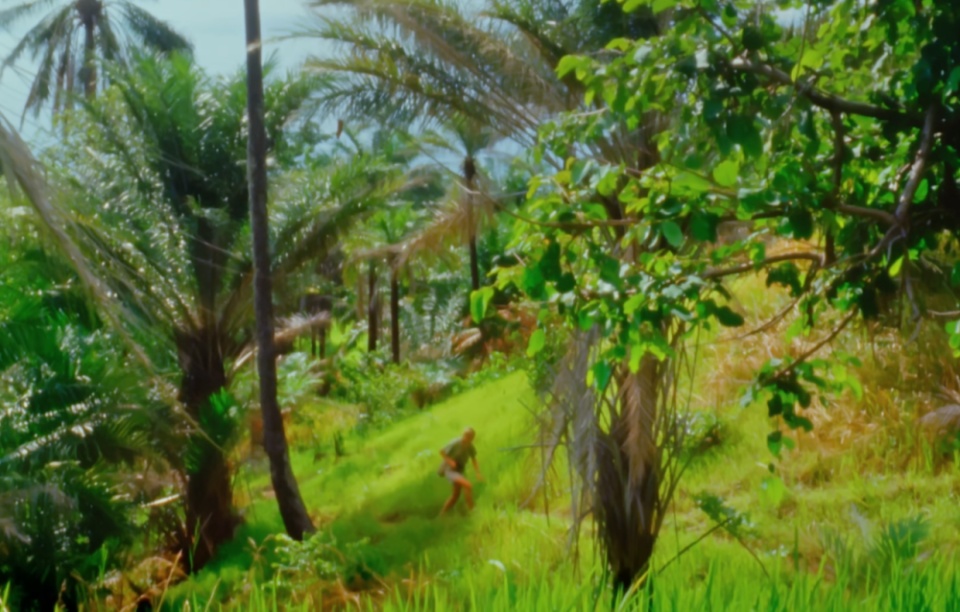 动物学家珍·古道尔去世,她是出现在我们科学、生物、英语课本上的传奇 动物学家珍·古道尔去世,她是出现在我们科学、生物、英语课本上的传奇