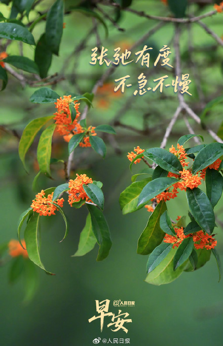 最好的生活状态，是张弛有度