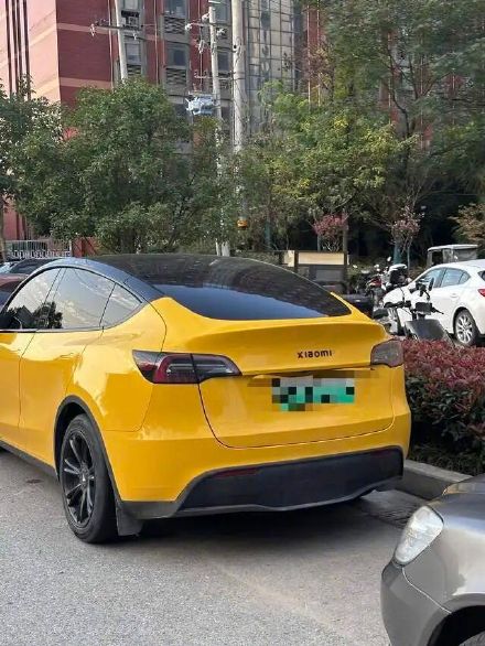 网友路遇特斯拉“变身”小米汽车，交警：可处300元以下罚款或警告