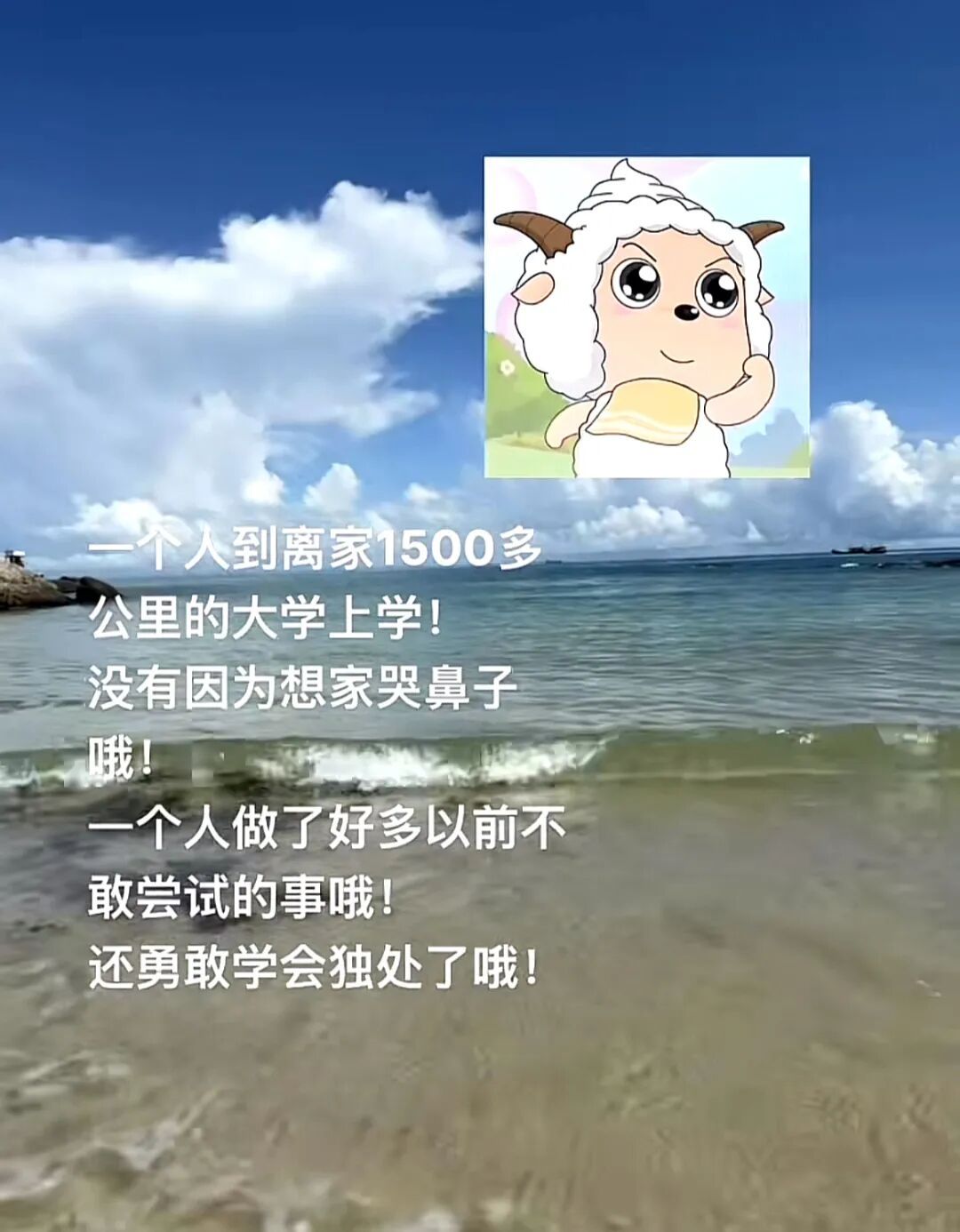 为什么最近网上这么多“勇敢的小羊”？这是什么梗？