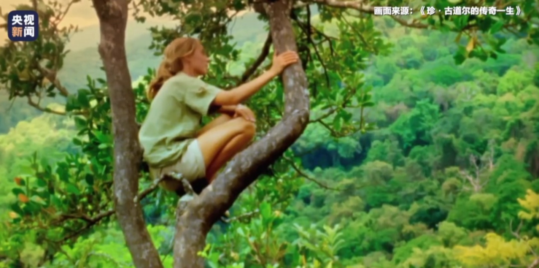 痛别！中学课本上的她走了