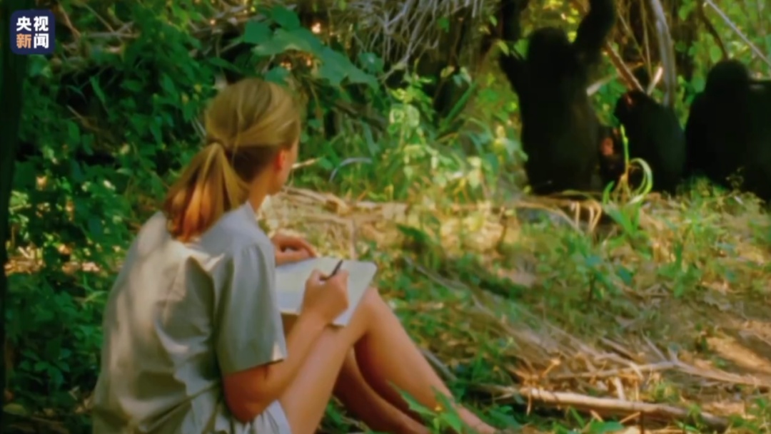 痛别！中学课本上的她走了