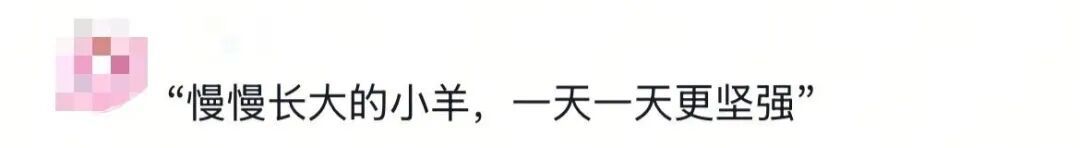 为什么最近网上这么多“勇敢的小羊”？这是什么梗？