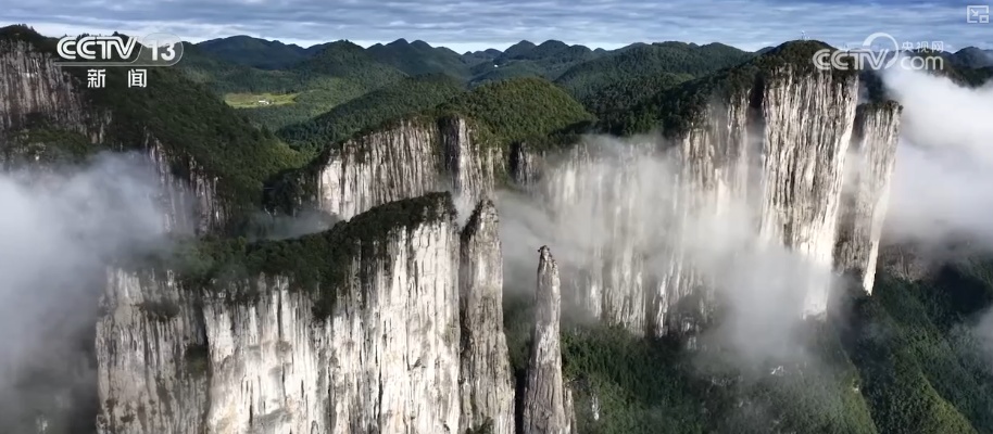 外骨骼、机器狗伴游、机器人秀技……文旅“新”潮涌动 超燃“科技游”受追捧