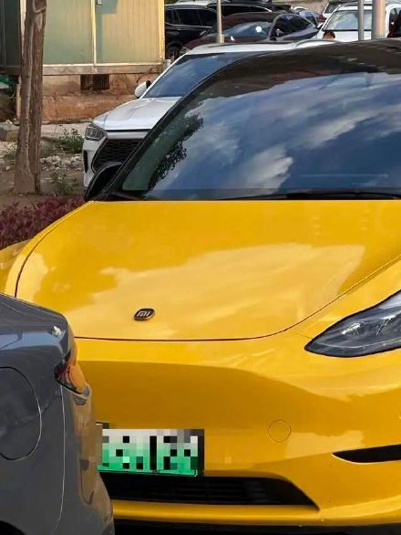网友路遇特斯拉“变身”小米汽车，交警：可处300元以下罚款或警告