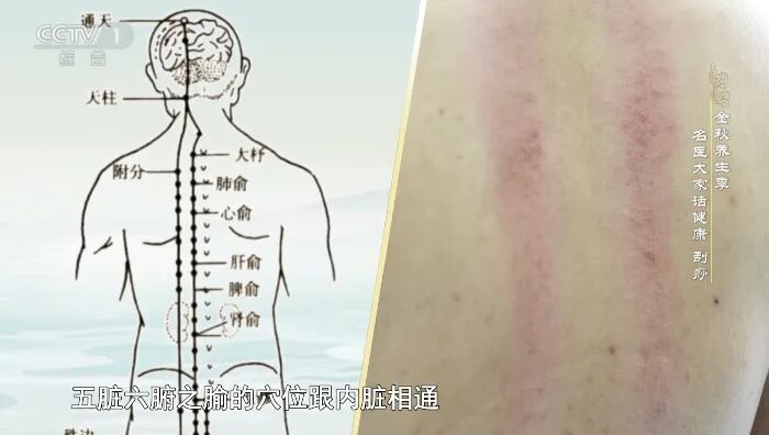 秋天做好这件事的人，免疫力强了，看起来比同龄人更年轻！但做不对反伤身