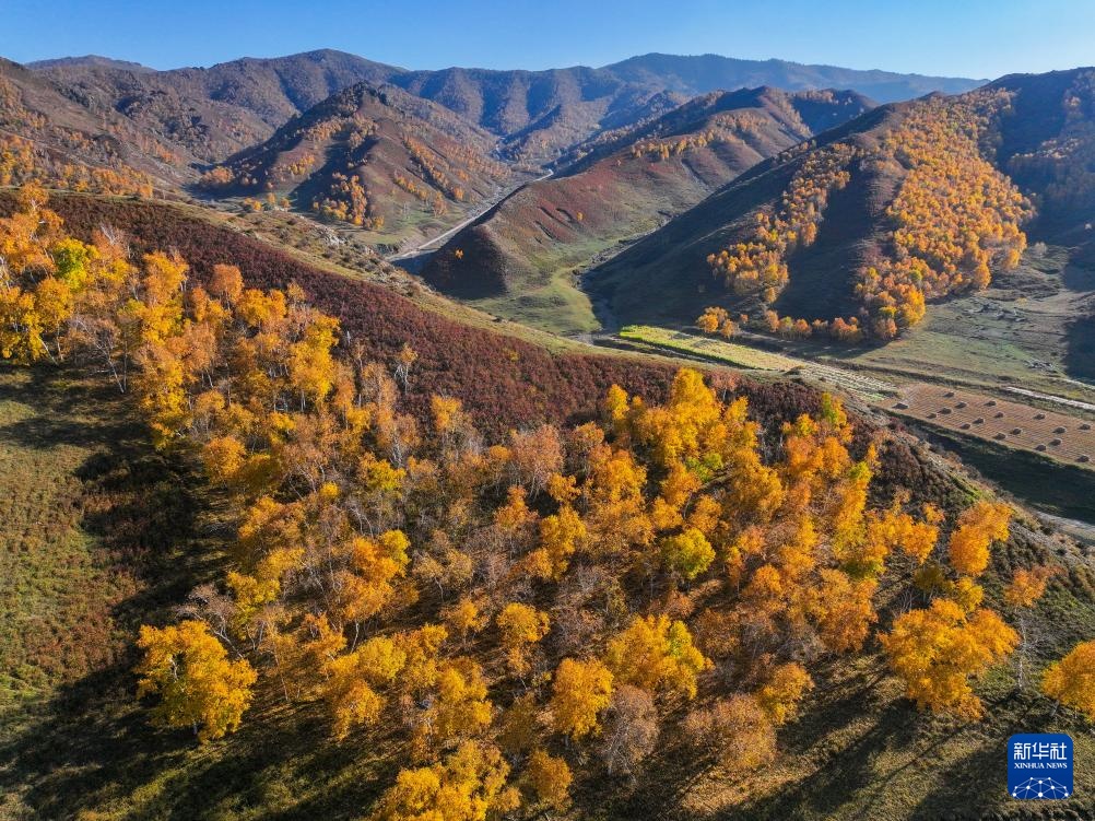 美丽中国|大青山之秋 美丽中国|大青山之秋