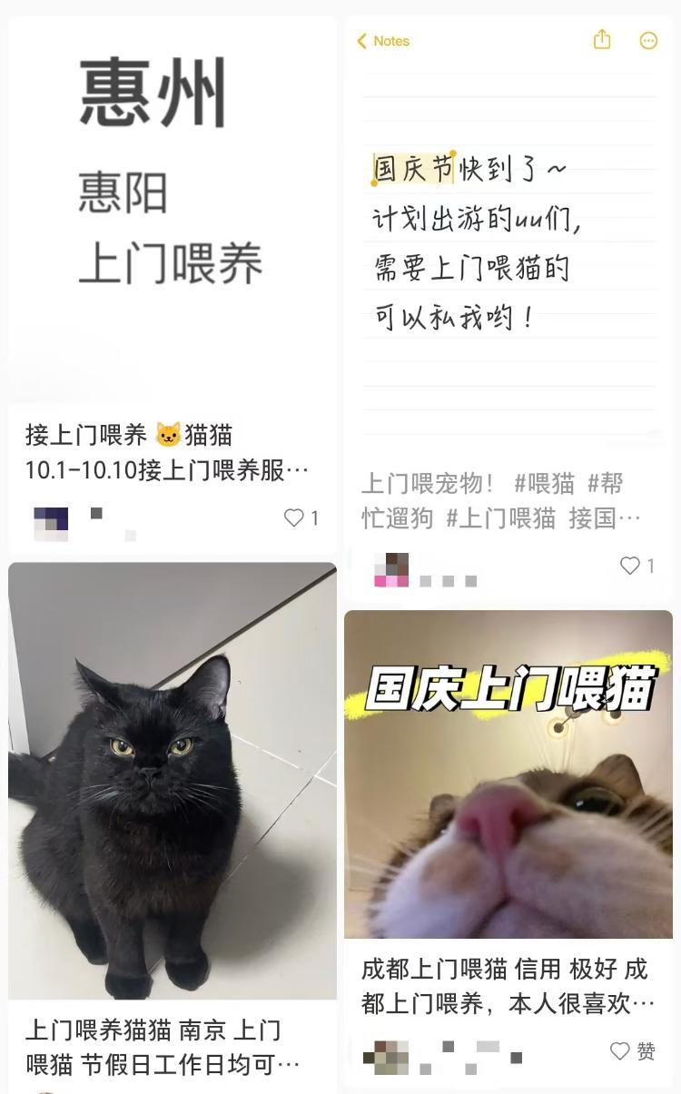 生意火爆!一男子假期连接270单,其中一笔收费8100元 生意火爆!一男子假期连接270单,其中一笔收费8100元