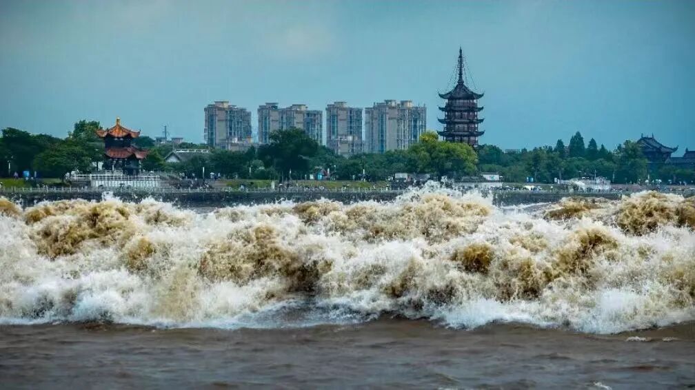 全国游客慕名赶来，浙江此处天下奇观即将进入最佳观赏期！超详尽出行攻略快快收藏