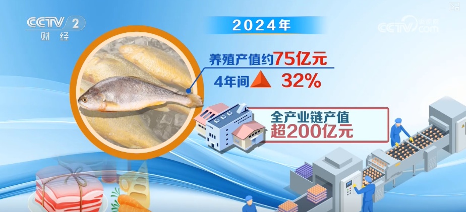 284亿元！“链”就美味24小时“鲜”达全国 “数”说从海洋到餐桌全产业链