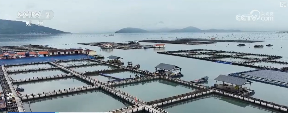 284亿元！“链”就美味24小时“鲜”达全国 “数”说从海洋到餐桌全产业链