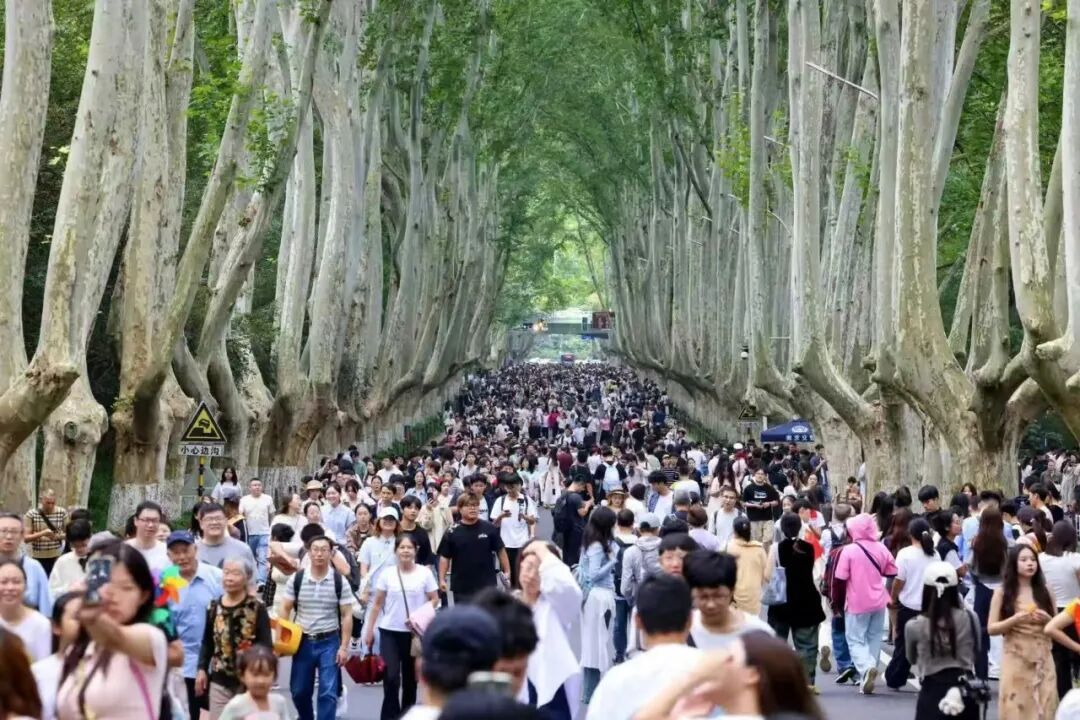 南京这一幕幕，刷屏了……