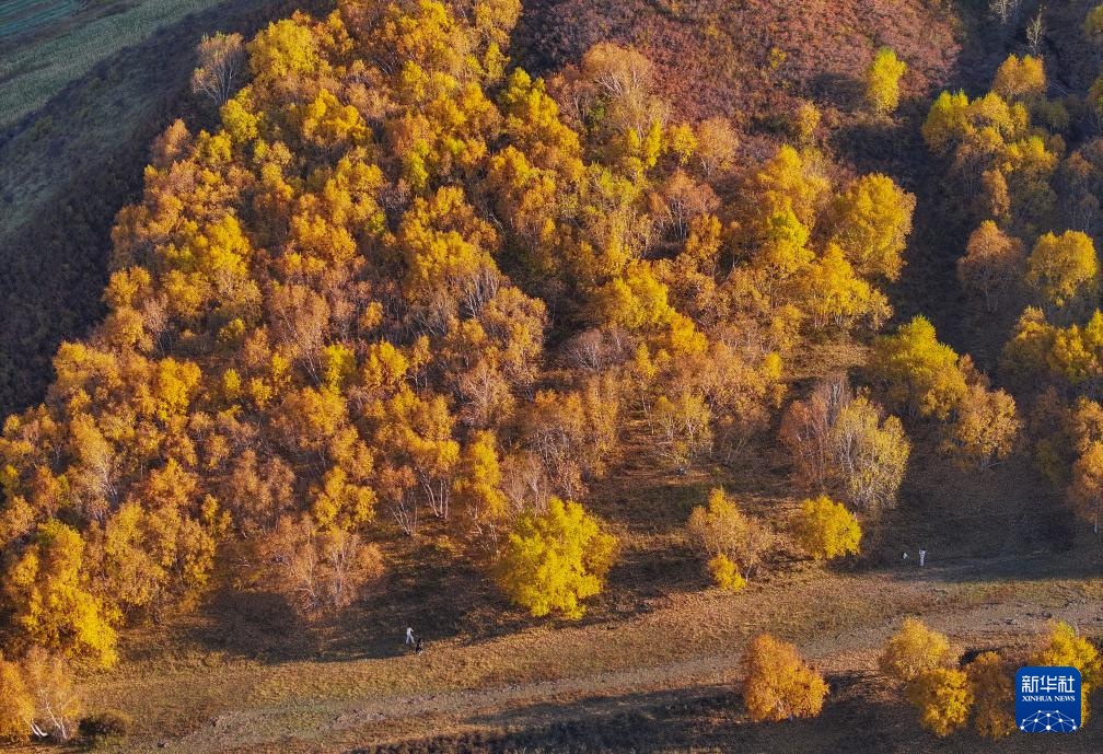 美丽中国|大青山之秋 美丽中国|大青山之秋