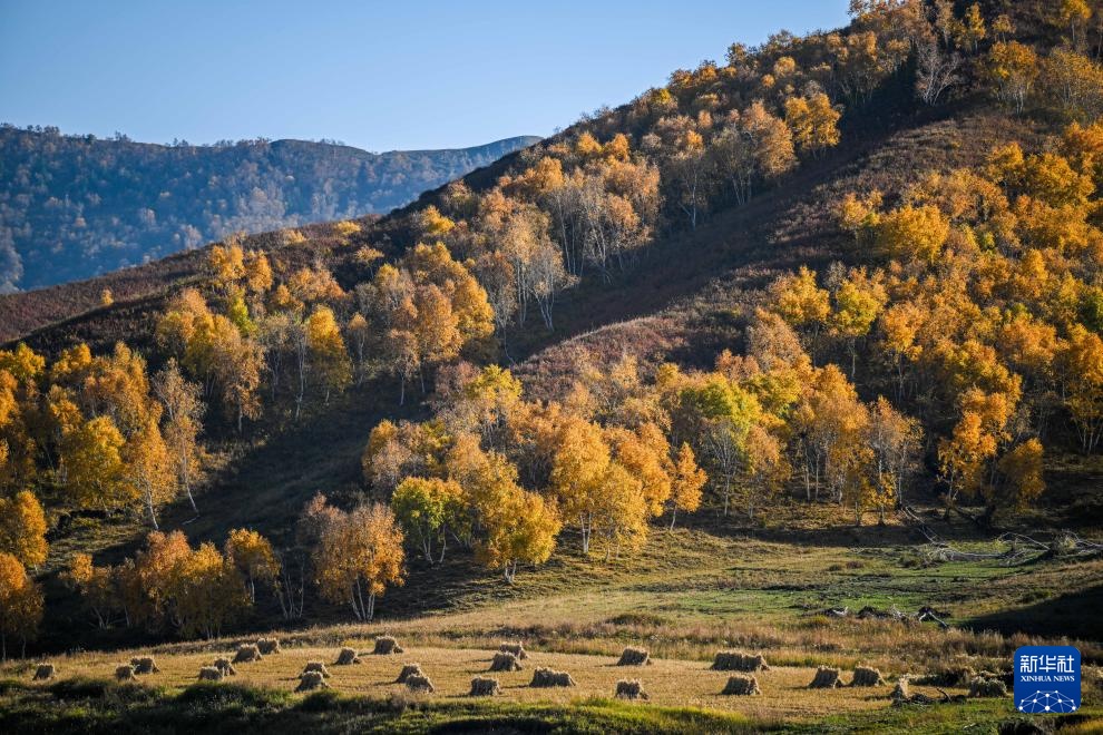 美丽中国|大青山之秋 美丽中国|大青山之秋