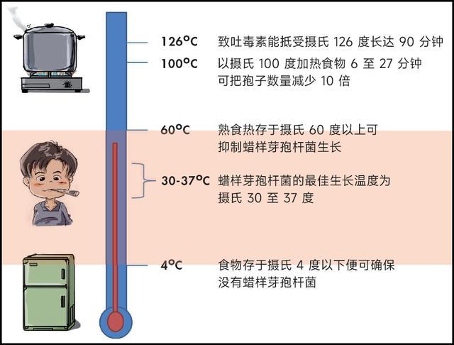 看似干净，但细菌超标的4种食物！吃错小心进医院