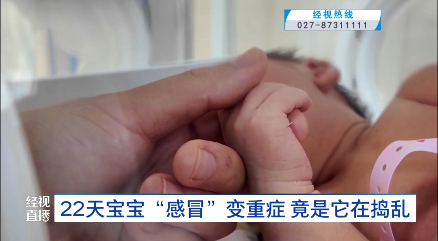 婴儿3天变重症,肺部症状集中爆发!这种病毒近期小心,再次提醒 婴儿3天变重症,肺部症状集中爆发!这种病毒近期小心,再次提醒