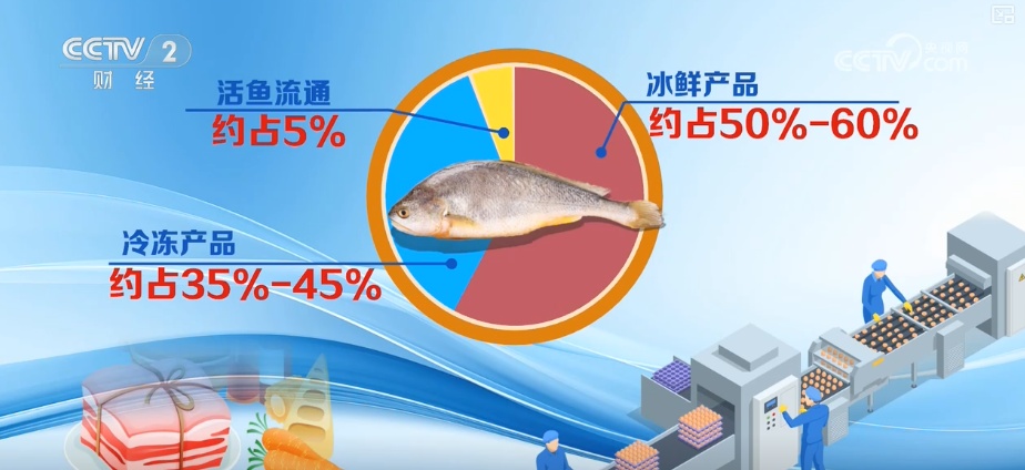 284亿元！“链”就美味24小时“鲜”达全国 “数”说从海洋到餐桌全产业链