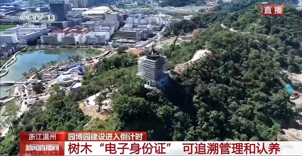 假期不停工 浙江温州园博园建设进入倒计时