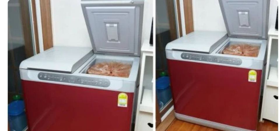 韩国男子杀害女友，遗体塞进泡菜冰箱近一年