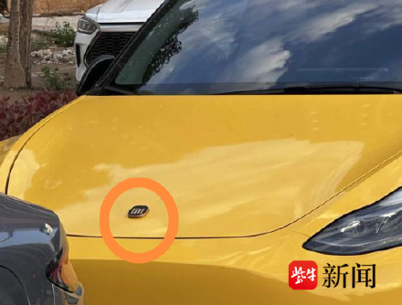 特斯拉变小米 车主私换车标违法