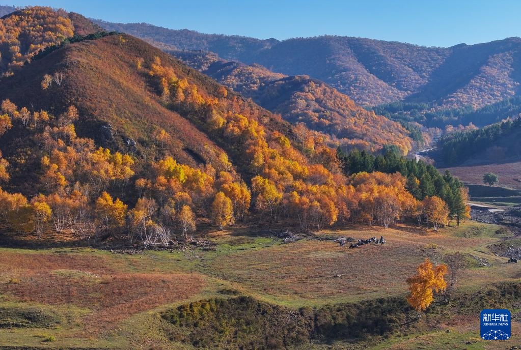 美丽中国|大青山之秋 美丽中国|大青山之秋
