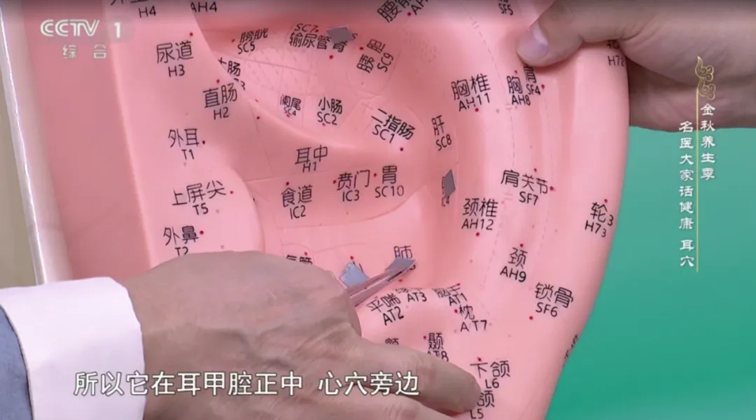 原来耳朵自带“健康开关”！每天按一按，让你睡得香、血压稳