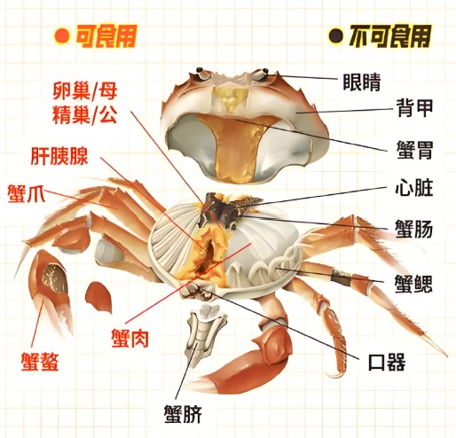 这5种人千万别碰螃蟹，第3个最容易被忽略！