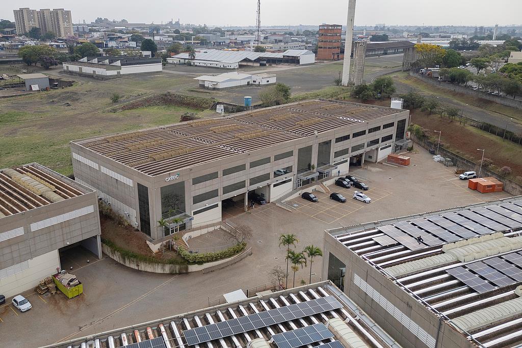 巴西启用大型“蚊子工厂”防控蚊媒疾病