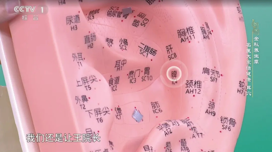 原来耳朵自带“健康开关”！每天按一按，让你睡得香、血压稳