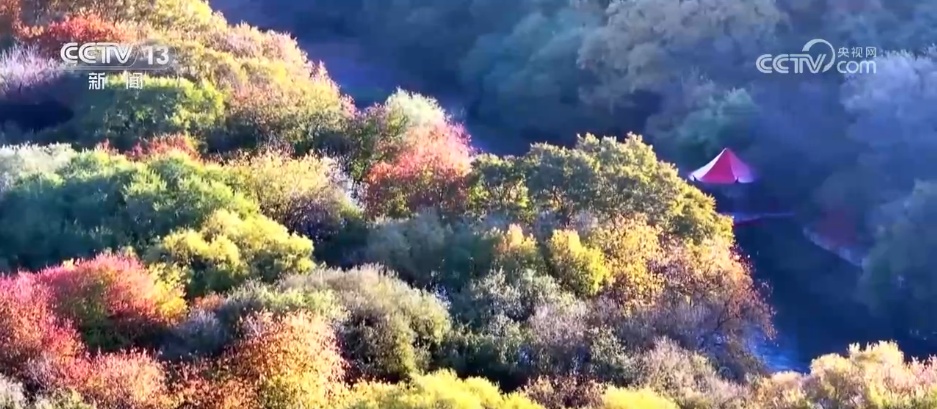 邂逅秋日限定浪漫 祖国河山处处皆画卷