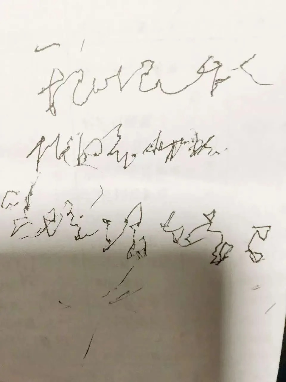 "这是奶奶去世前写的字，想请朋友们帮忙辨认一下…"